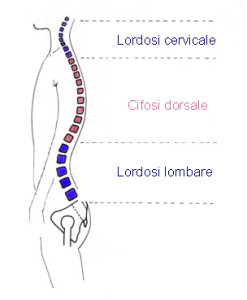 3-curve-colonna